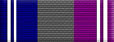 Departmental Service Badge: Support